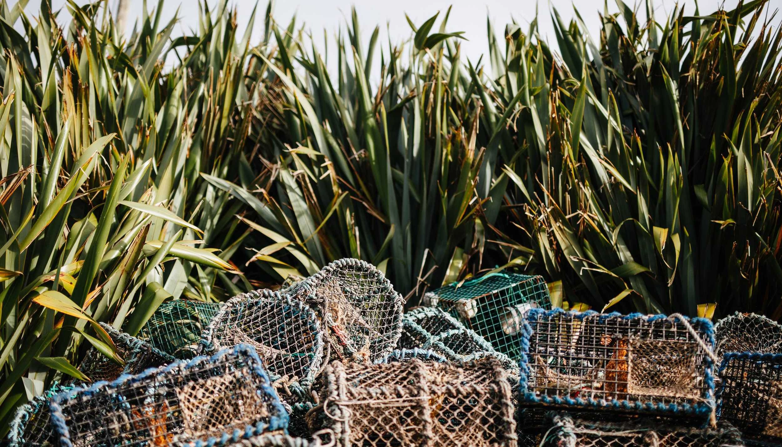 Stacked fishing traps and nets rest in front of tall marsh grasses, reflecting the coastal fishing heritage of Dingle Harbour.