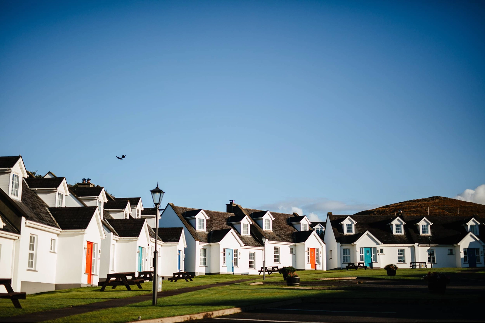 A row of white cottages with dark roofs and colorful doors sits on a manicured green lawn under a clear blue sky. The charming residential buildings feature dormer windows and traditional Irish architecture, located at Dingle Harbour Cottages.