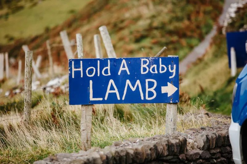 A blue directional sign with white text reading 