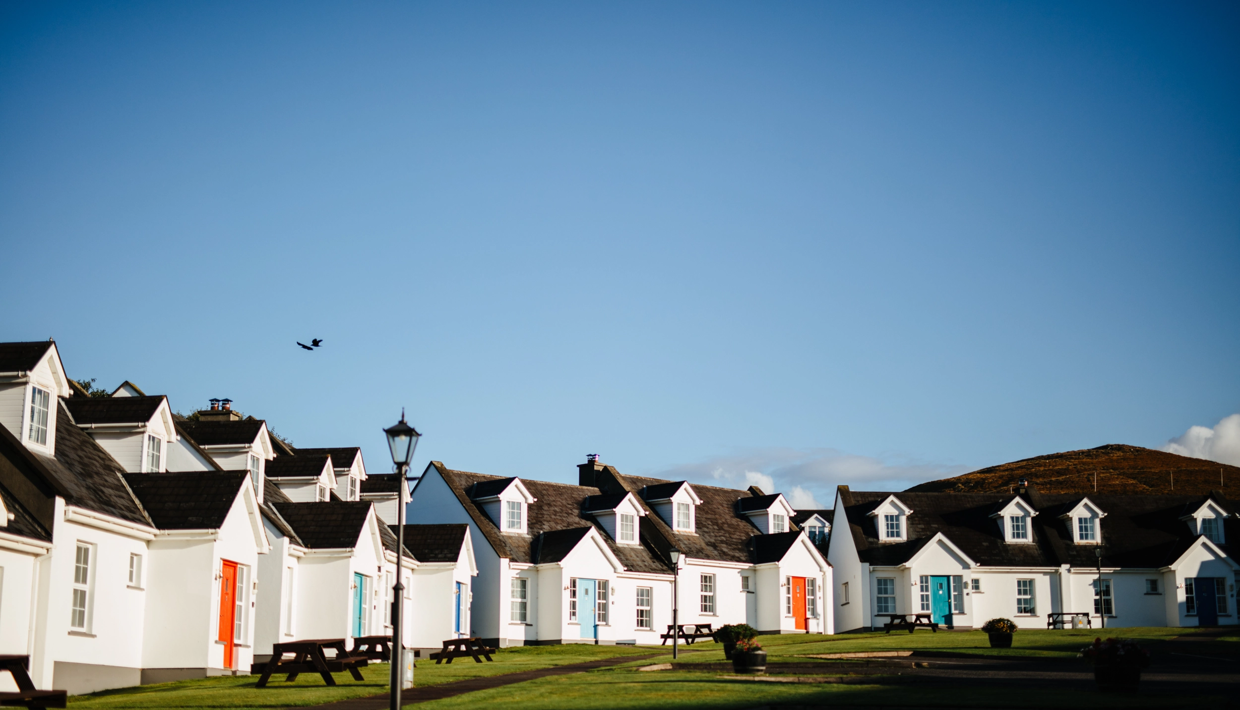 A row of white cottages with distinctive black roofs and colorful doors lined along a grassy green space under a clear blue sky at Dingle Harbour Cottages.