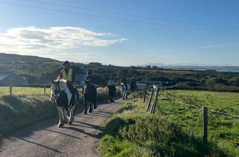 A group of visitors walks along a rural pathway on the Dingle Peninsula, with rolling green hills, farmland, and distant coastal views visible under a partly cloudy sky. A person in a high-visibility vest leads the group past wooden fence posts and grazing pastures typical of Irish countryside.